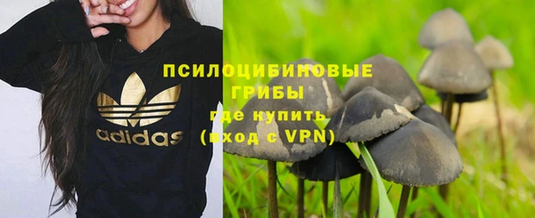 бошки Володарск