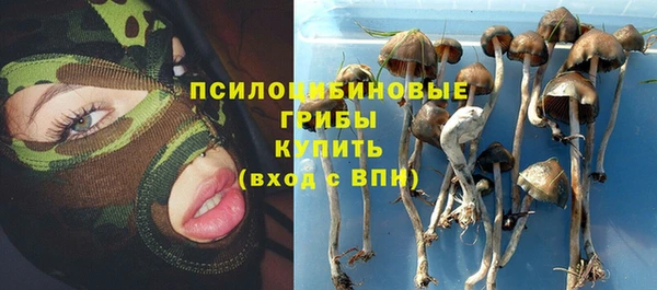 бошки Володарск